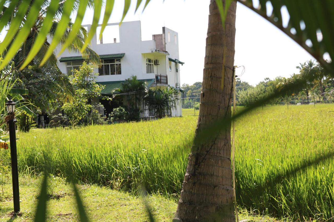 Manel Guest House Polonnaruwa Exterior photo