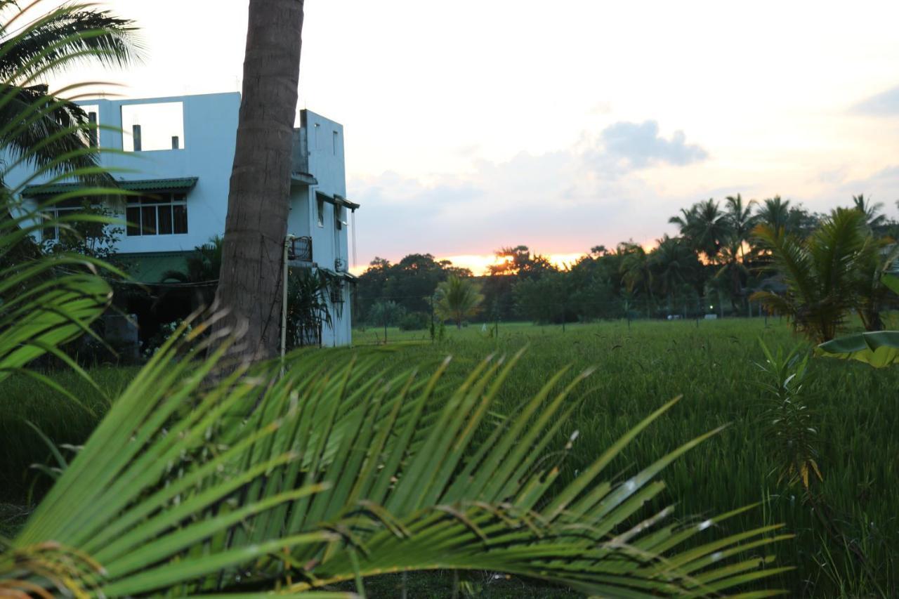Manel Guest House Polonnaruwa Exterior photo